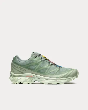 XT-6 Gore-Tex Desert Sage / Lily Pad / Laurel Wreath Low Top Sneakers